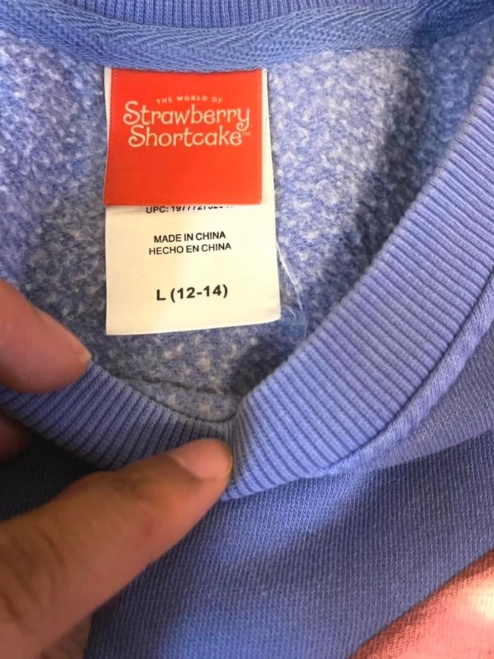 NWOT Strawberry Shortcake Matching Lounge Set Sweatshirt Joggers Two Piece Set